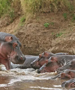 Safari im offenen Fahrzeug fernab der Massen - im South Luangwa Nationalpark